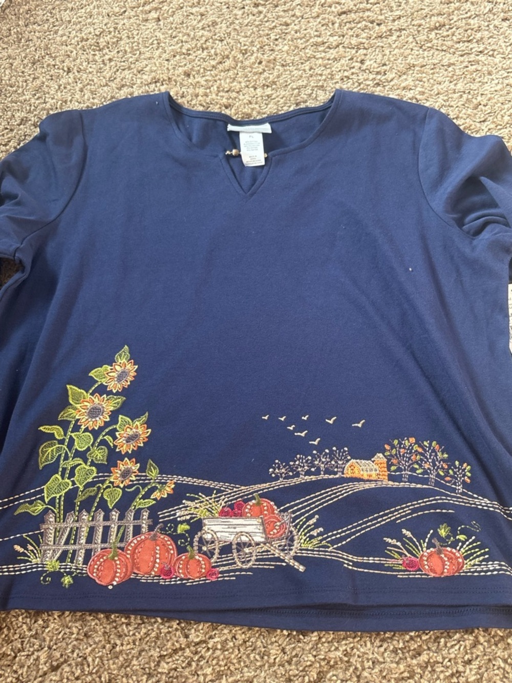Women’s Navy Pumpkin & Sunflower Graphic Long Sleeve Top